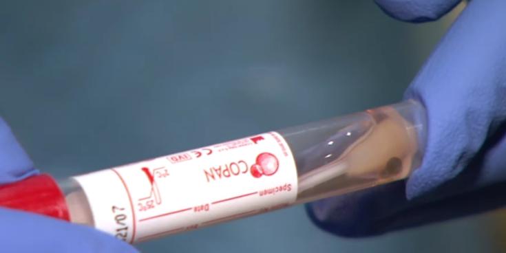 More than 10,000 Covid cases confirmed today as restrictions end