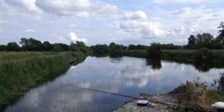 Carlow councillors call to control camping