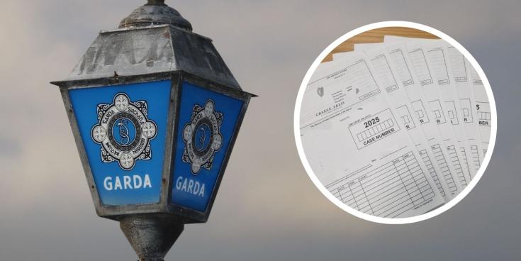 ‘Absolute clown’: Driver arrested in Carlow as gardai detect six serious crimes