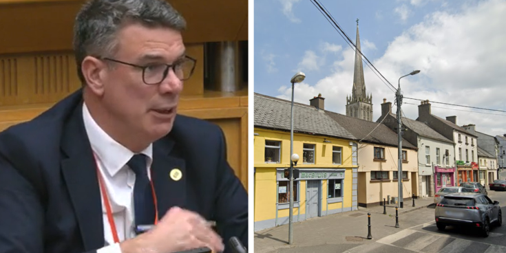 ‘Not a nice thing to do’ - Council officials compared to Nazis on posters in Carlow town