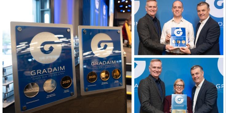 Carlow celebrates as two local businesses honoured at national Irish language awards