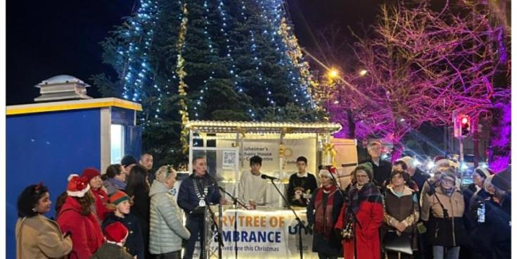 Record year for Carlow's Remembrance Tree with almost &euro;10k going to four local charities
