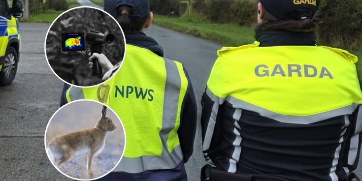 LONG READ: Inside the 'seasonal scourge' that terrorising rural landowners across Ireland