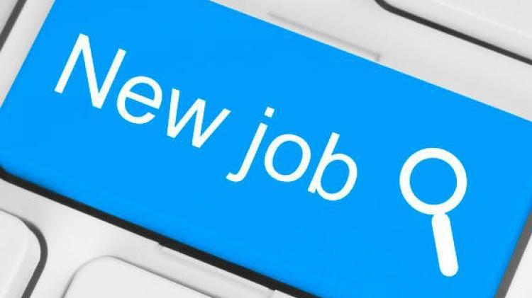JOB ALERT! Carlow County Council open applications for a high salary job of up to 82K