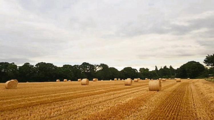 Over 100 Carlow farmers set to receive nearly &euro;500,000 in fresh Government payments