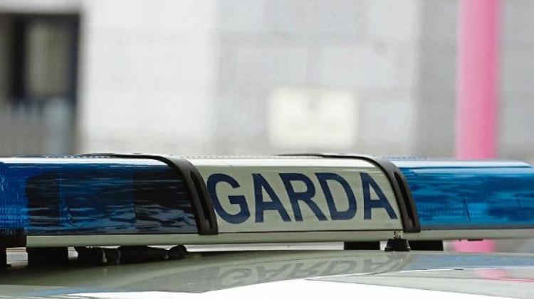Two arrested as gardai search Carlow premises in probe into over 40 crime incidents