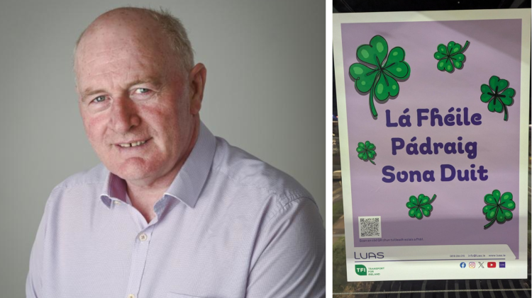 &lsquo;We&rsquo;re gone so woke&rsquo; - Carlow councillor unhappy with St. Patrick&rsquo;s Day poster