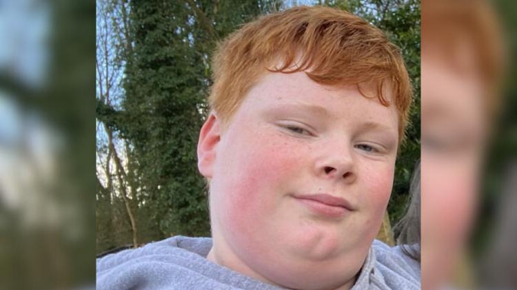 Garda&iacute; 'concerned' as Carlow teenager goes missing for second time this year