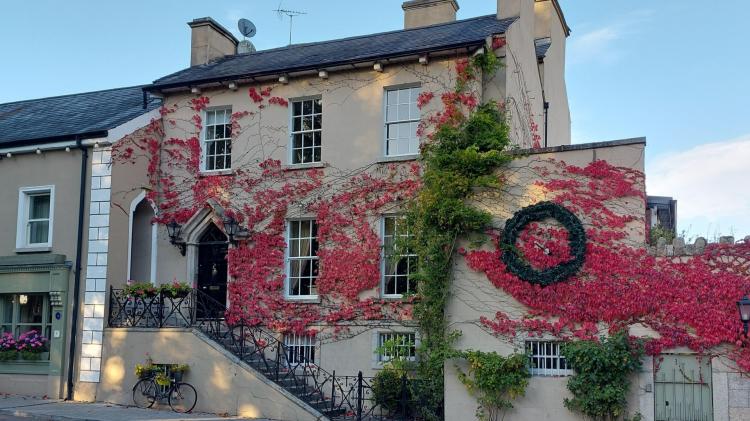 Big boost as town in Carlow secures &euro;50k funding under major national heritage scheme