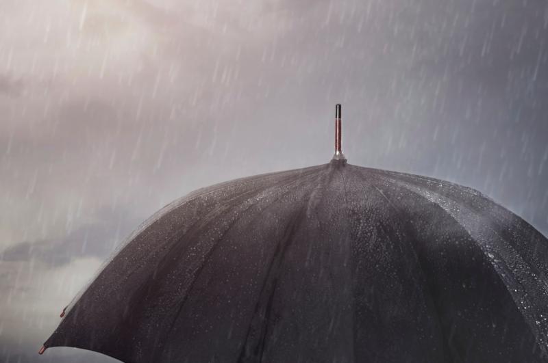 Umbrellas up! Rain and blustery showers expected tonight 