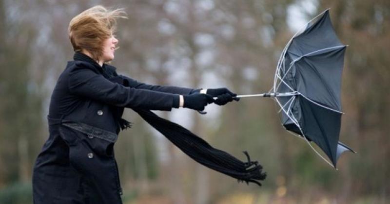 Met Eireann  wind warning
