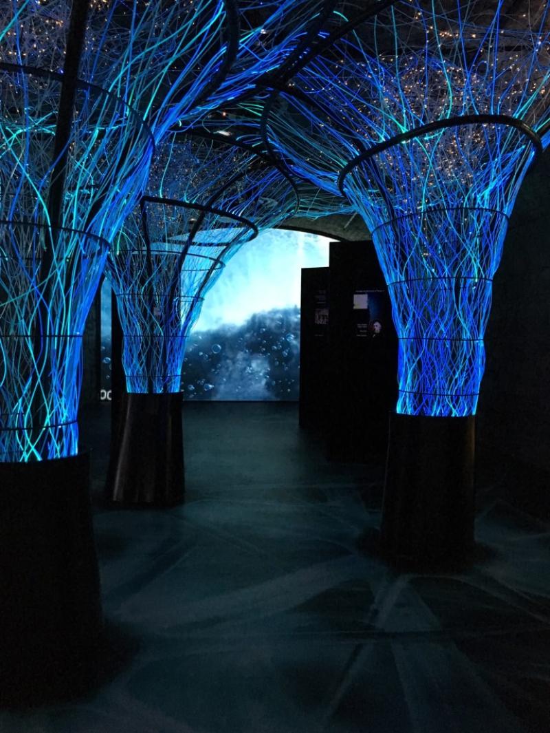 Irish museum voted Europe's best tourist attraction