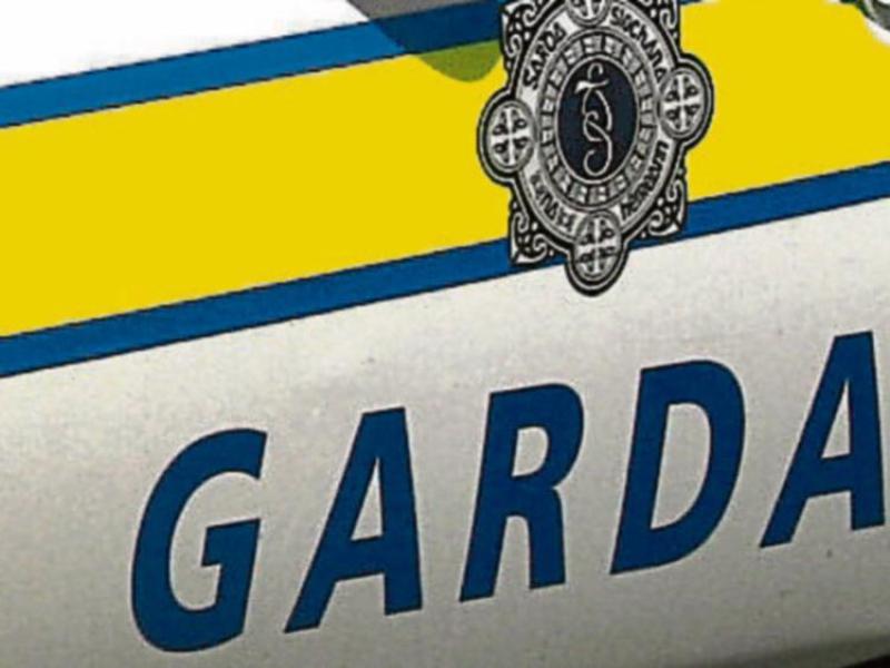 Young man hospitalised with serious injuries after alleged daylight machete attack