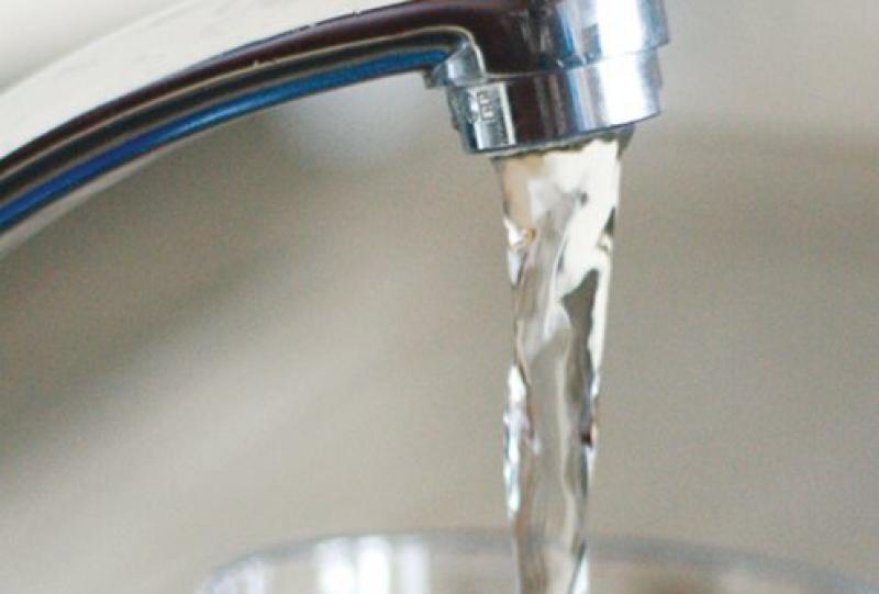 Eels in Carlow drinking water supply
