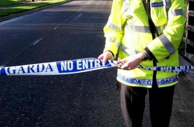 Gardai renew appeal for information on teenager killed in hit and run 