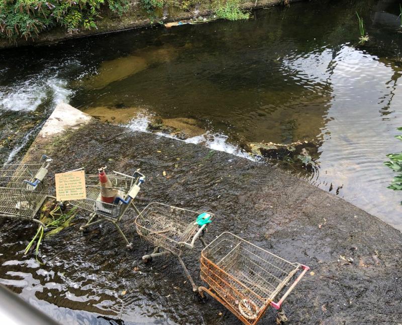 PICTURES: Shocking images of illegal dumping in Carlow Town