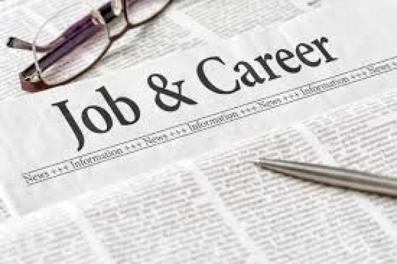 National job frequencies fall while jobseeker activity increases