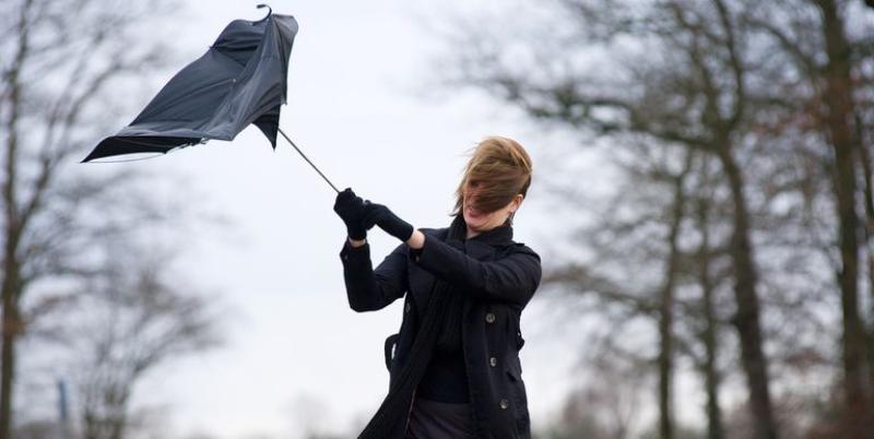 CARLOW WEATHER: Strong winds and isolated thunderstorms expected today (January 11)