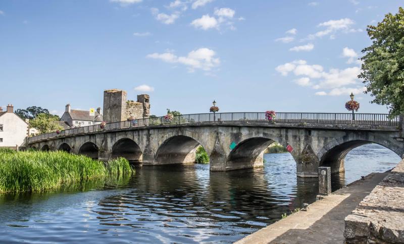 'Outstanding work', Leighlinbridge win gold medal at Tidy Towns 2023 for the county