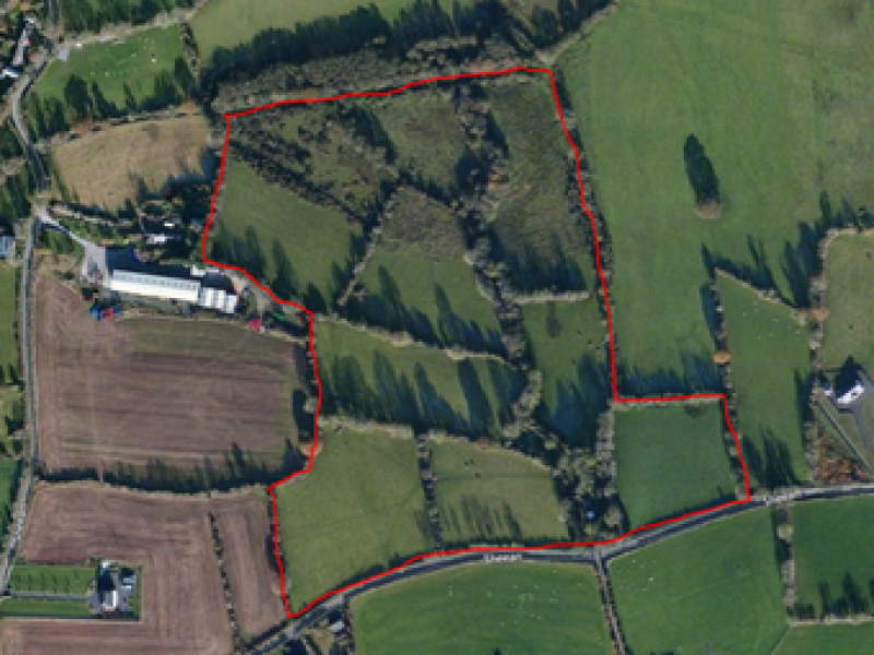 AUCTION Around 28 acres of agricultural land in Carlow to go under the