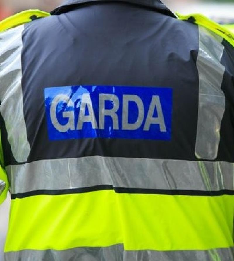 Man dies in Waterford farm accident 