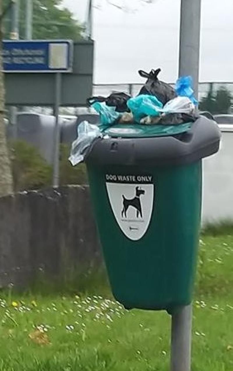 Council issues warning as Carlow's misused dog poo bins causing 'significant problems' Carlow Live