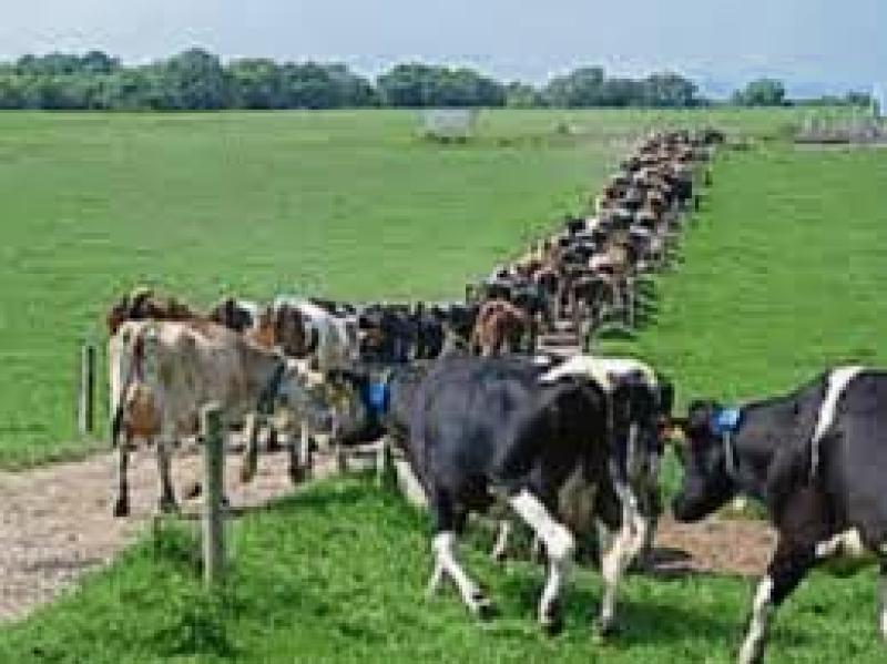 The Greenfield demonstration farm at Clara, Kilkenny which is closing down