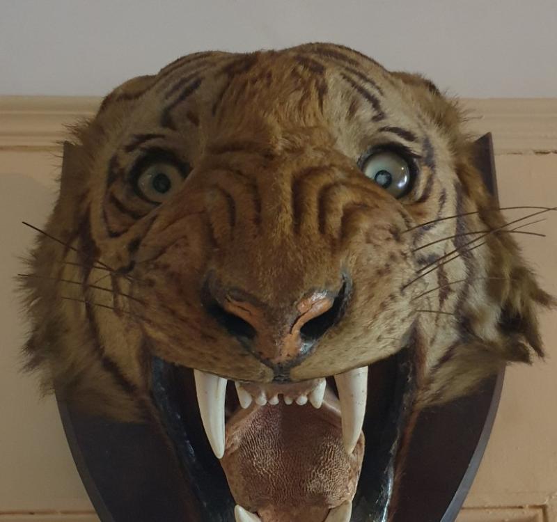 Carlow Carlow Carlow