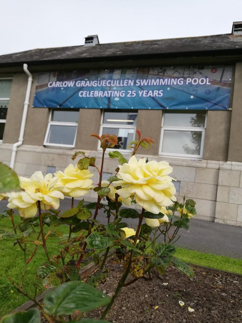 Carlow Carlow Carlow