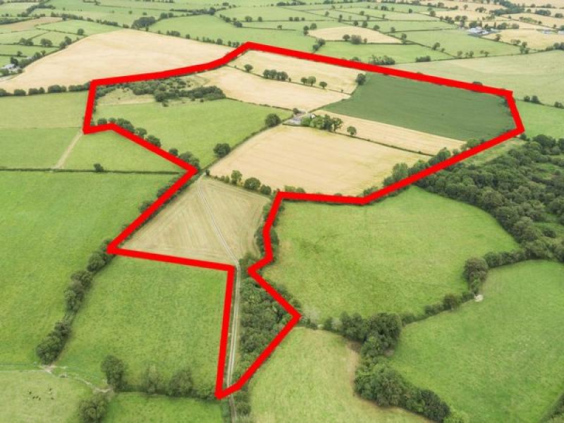 Revealed Over 66 acres of agricultural land in Fenagh to go on sale at