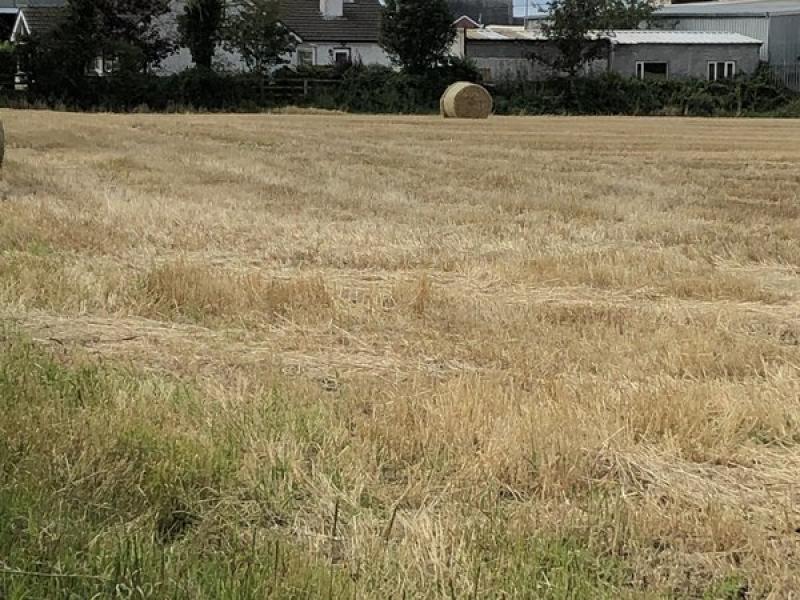 PROPERTY Over eight acres of development land for sale close to the M9