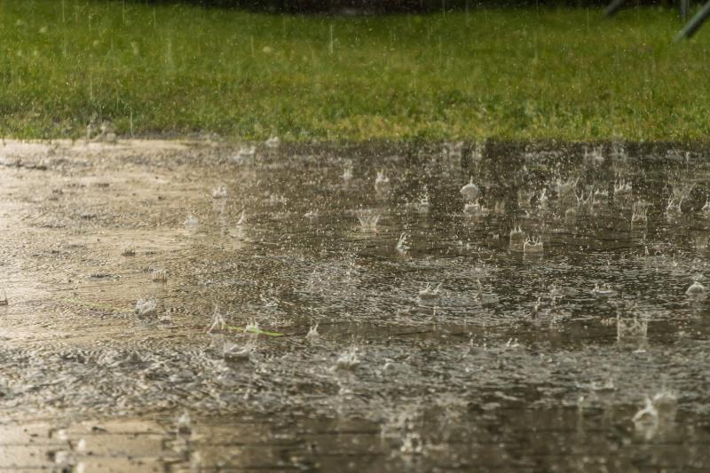 CARLOW WEATHER: Rain expected all day (March 15) with possible spot flooding