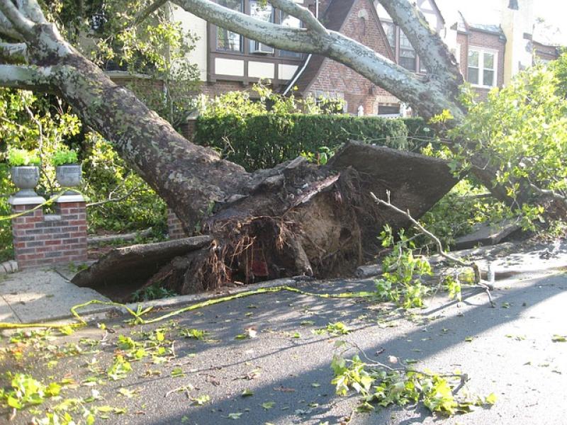 hurrican lorenzo storm met office met éireann