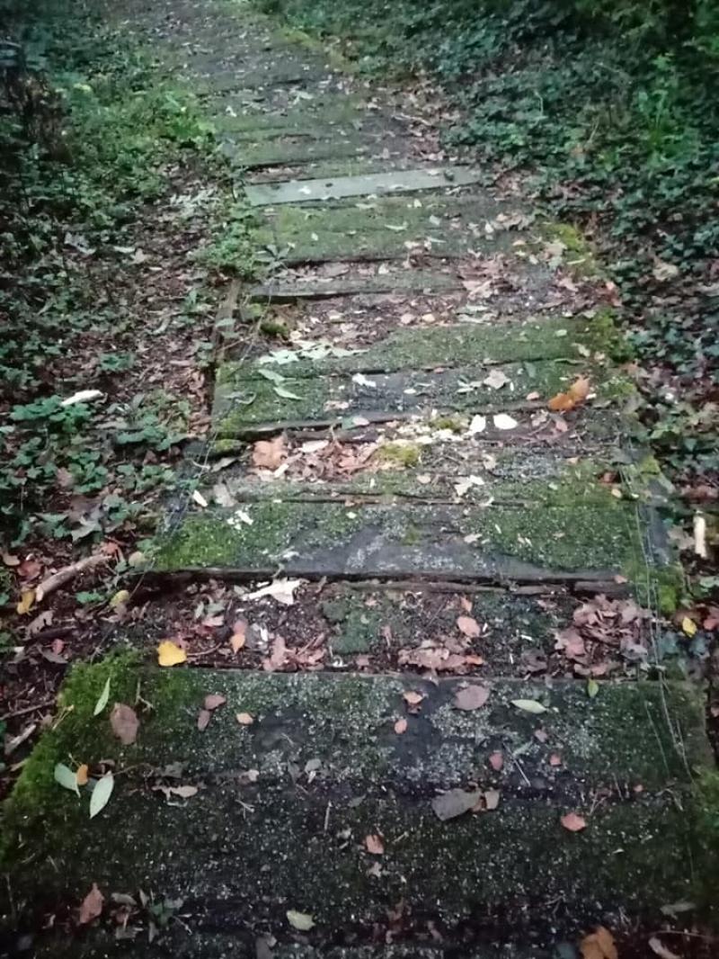 Carlow Carlow Carlow