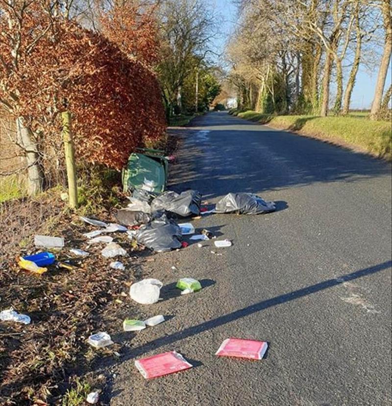 New trend sees 'mindless idiots' grabbing wheelie bins through car