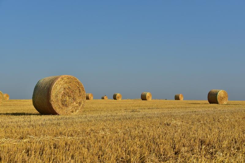 State bodies want more women on agricultural boards