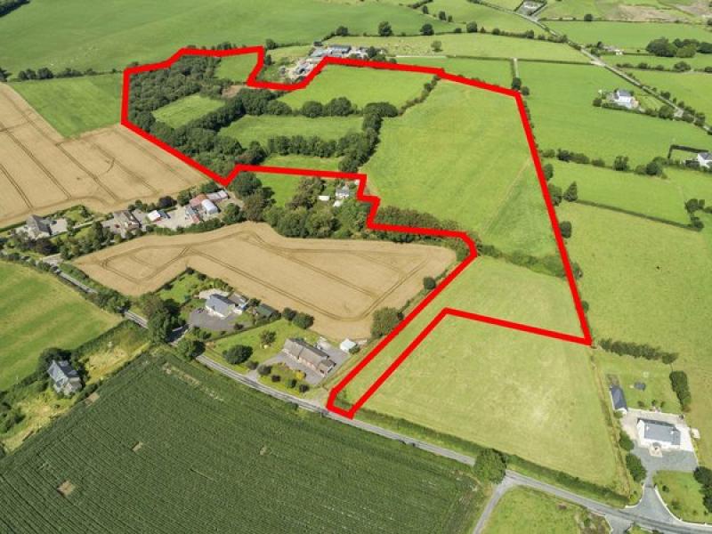 Revealed Over 30 acres of agricultural land in Carlow to go on sale by