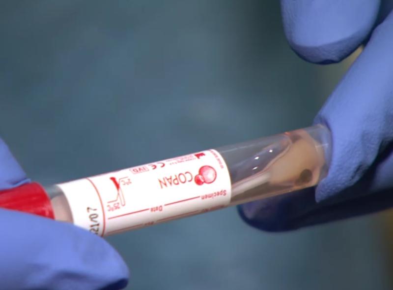 Ireland had no 'excess deaths' during Covid-19 pandemic amid new research