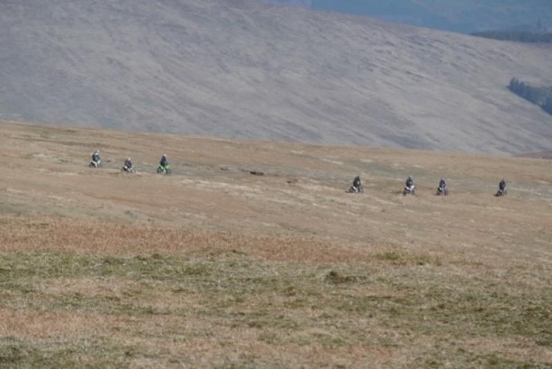 Covid-19 Covid-19 Covid-19