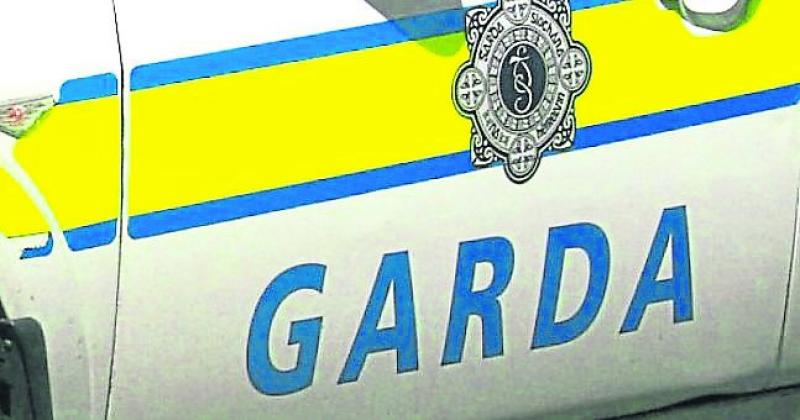 Representative group calls for mandatory driving training for all frontline gardaí
