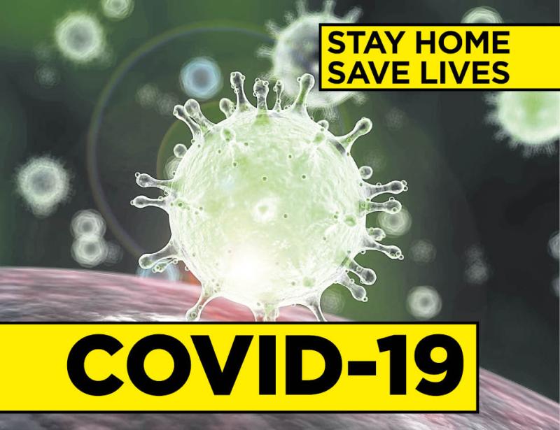 Children 'not a major contributor' in spread of Covid-19 limited evidence shows