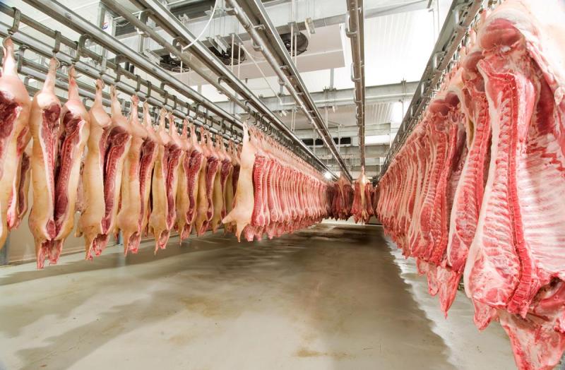 WARNING: All Irish meats processed in unapproved establishment recalled by safety group