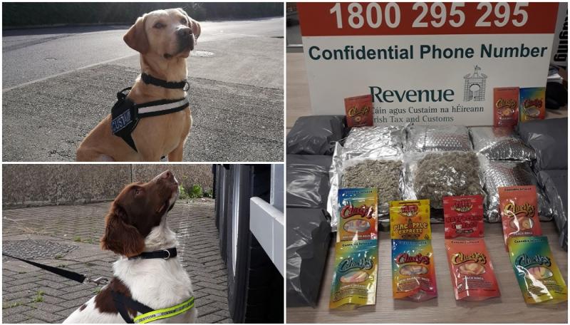Sniffer dogs Bailey and Sam find drugs at mail centre worth €50k destined for five counties