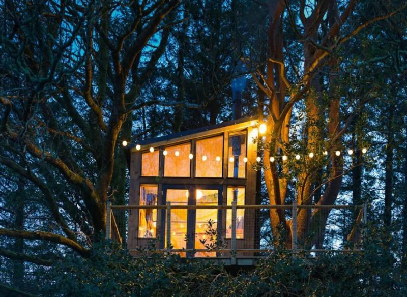 This treehouse retreat in Donegal is sure to give your friends some staycation envy