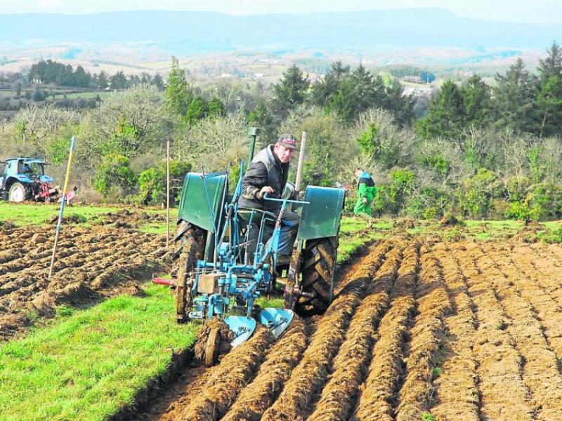 Excitement building for National Ploughing Championships digital events 