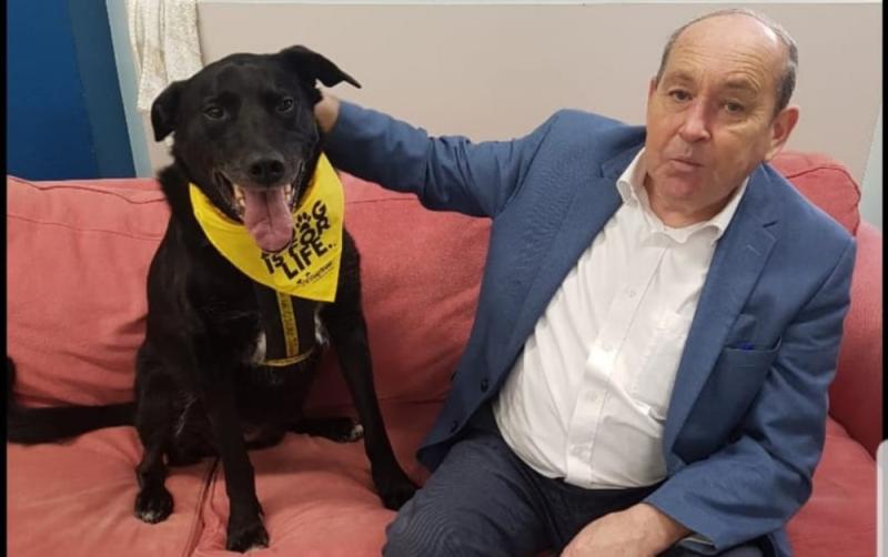 Dog charity's longest resident has his Christmas wish answered after waiting eight years to be adopted