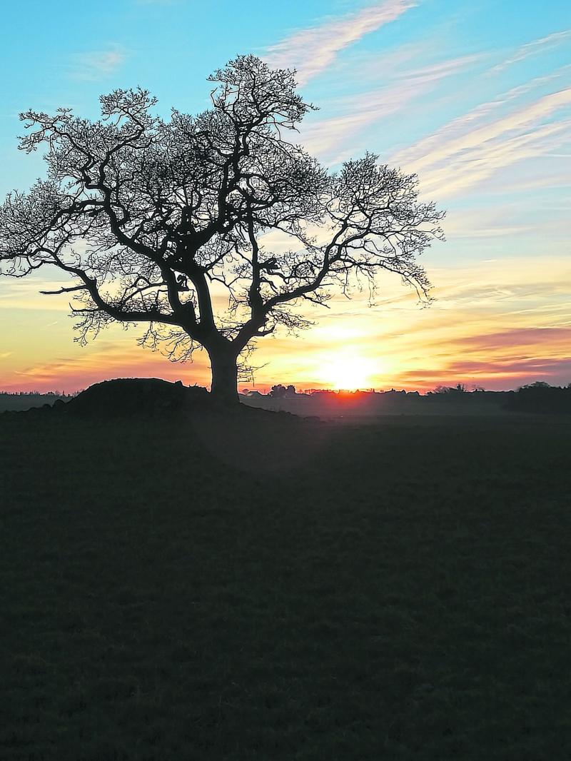 CARLOW WEATHER: Dry and bright today (Christmas Day) with some showers