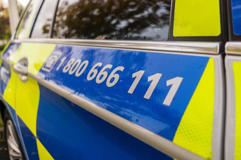 Gardai appeal for witnesses after 20-year-old dies in road traffic incident