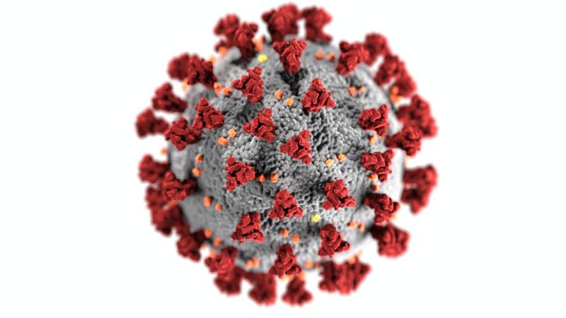 New coronavirus variant being monitored by WHO