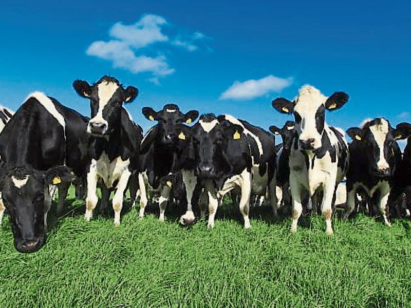 'Significant financial boost' for almost 85,000 farmers this week